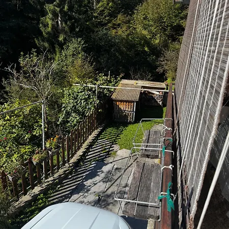 Pohorje * Zgornje Hoce