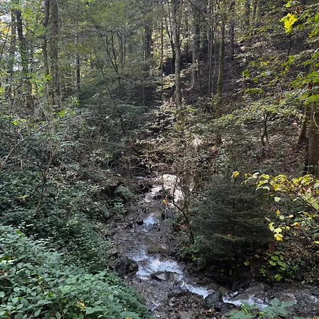Tatil Evi Pohorje Zgornje Hoce