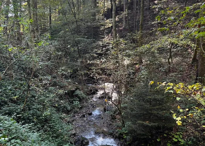 別荘 Pohorje Zgornje Hoče